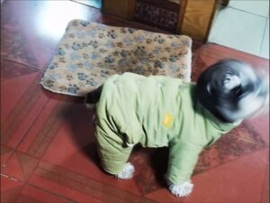 Four-Legged Cotton Dog Jacket
