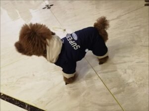 Printed Cotton Dog Jacket