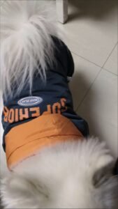 Printed Cotton Dog Jacket