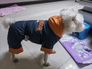 Printed Cotton Dog Jacket