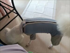 Outdoor Reflective Dog Jacket