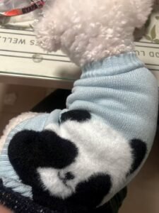 Panda Knit Pet Sweater