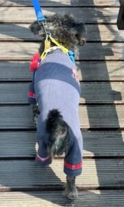 Plaid Patchwork Dog Jumpsuit