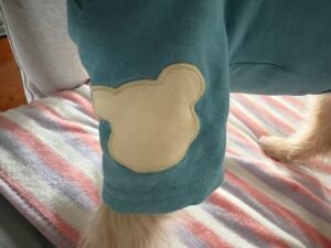 Bear Patch Dog Tee