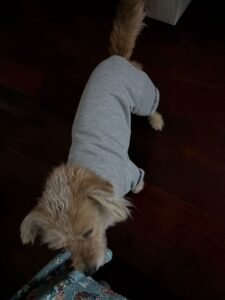 Plaid Patchwork Dog Jumpsuit