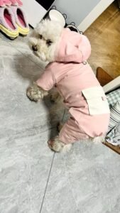 Padded Dog Jumpsuit with Pocket & D-Ring