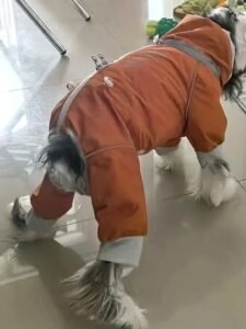 Reflective Outdoor Dog Jumpsuit