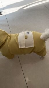 Padded Dog Jumpsuit with Pocket & D-Ring