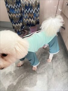 Outdoor Reflective Dog Jacket