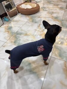 Plaid Patchwork Dog Jumpsuit