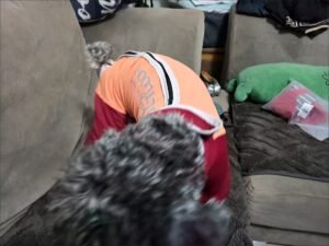 Outdoor Reflective Dog Jacket