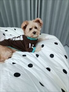 Vintage Sporty Dog Shirt