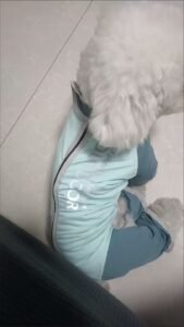 Outdoor Reflective Dog Jacket