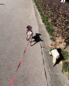 Always Together Ribbed Pet Bodysuit