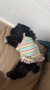 Striped Lace Trim Sling with Cherry Embroidery