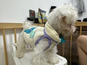 Color Block Dog Vest
