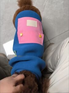 Color Block Dog Vest