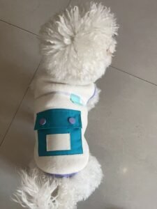 Color Block Dog Vest