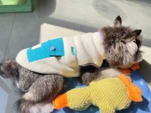 Color Block Dog Vest