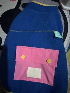 Color Block Dog Vest