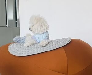 Cooling Pet Shirt for Summer