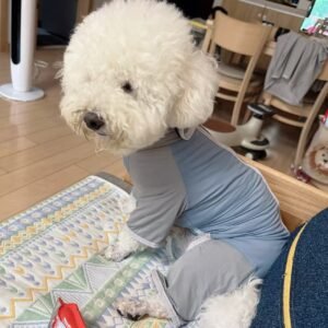 Outdoor Reflective Dog Jacket