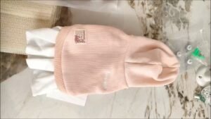 College Style Dog Dress