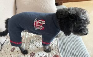 Plaid Patchwork Dog Jumpsuit