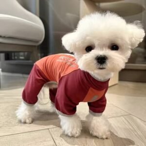 Outdoor Reflective Dog Jacket