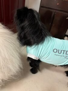 Cooling Pet Shirt for Summer