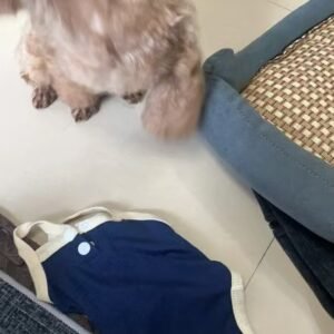 Always Together Ribbed Pet Bodysuit