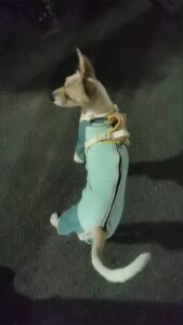 Outdoor Reflective Dog Jacket