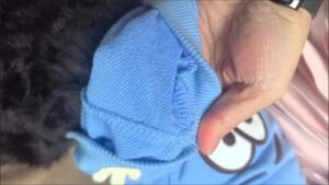 3D Hand Hoodie Dog Shirt