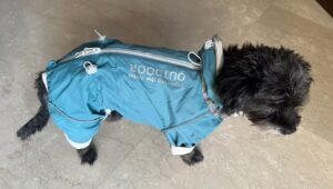 Reflective Outdoor Dog Jumpsuit
