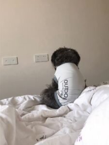 Cooling Pet Shirt for Summer