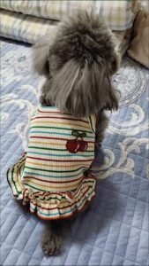 Striped Lace Trim Sling with Cherry Embroidery