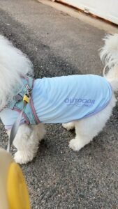Cooling Pet Shirt for Summer