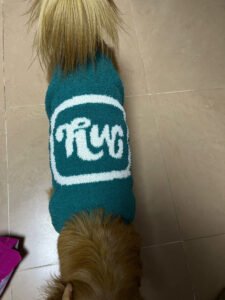 Fluffy Paw Knit Sweater