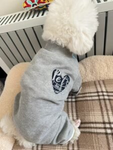 Plaid Patchwork Dog Jumpsuit