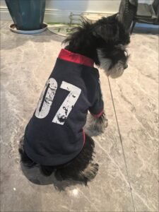 Vintage Sporty Dog Shirt