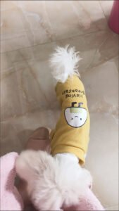 Soft Waffle Knit Shirt