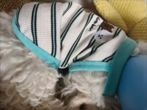 Cozy Bear Stripe Dog Tank Top