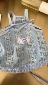 Elegant Lace Bow Dog Dress