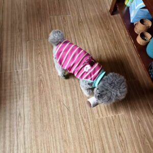 Cozy Bear Stripe Dog Tank Top