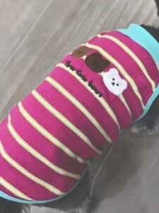 Cozy Bear Stripe Dog Tank Top