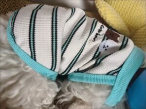 Cozy Bear Stripe Dog Tank Top