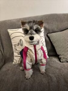 Active Performance Dog Overalls