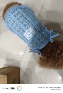 Elegant Lace Bow Dog Dress