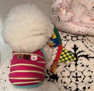 Cozy Bear Stripe Dog Tank Top