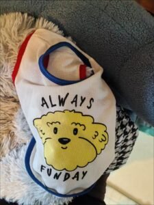 Airy Mesh Funday Dog Vest